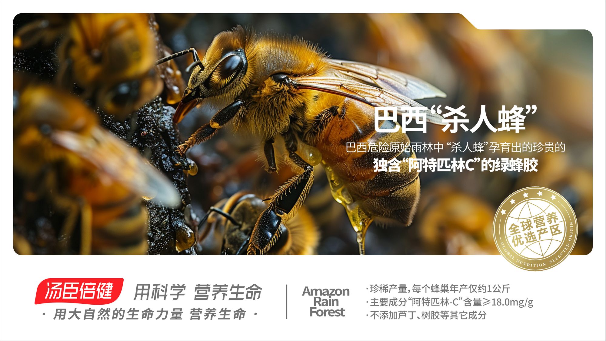 巴西 